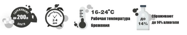 Спиртовые дрожжи Bragman Industrial на 200L – купить по отличной цене в ...
